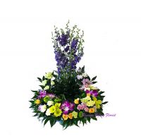 test product 11